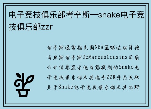 电子竞技俱乐部考辛斯—snake电子竞技俱乐部zzr